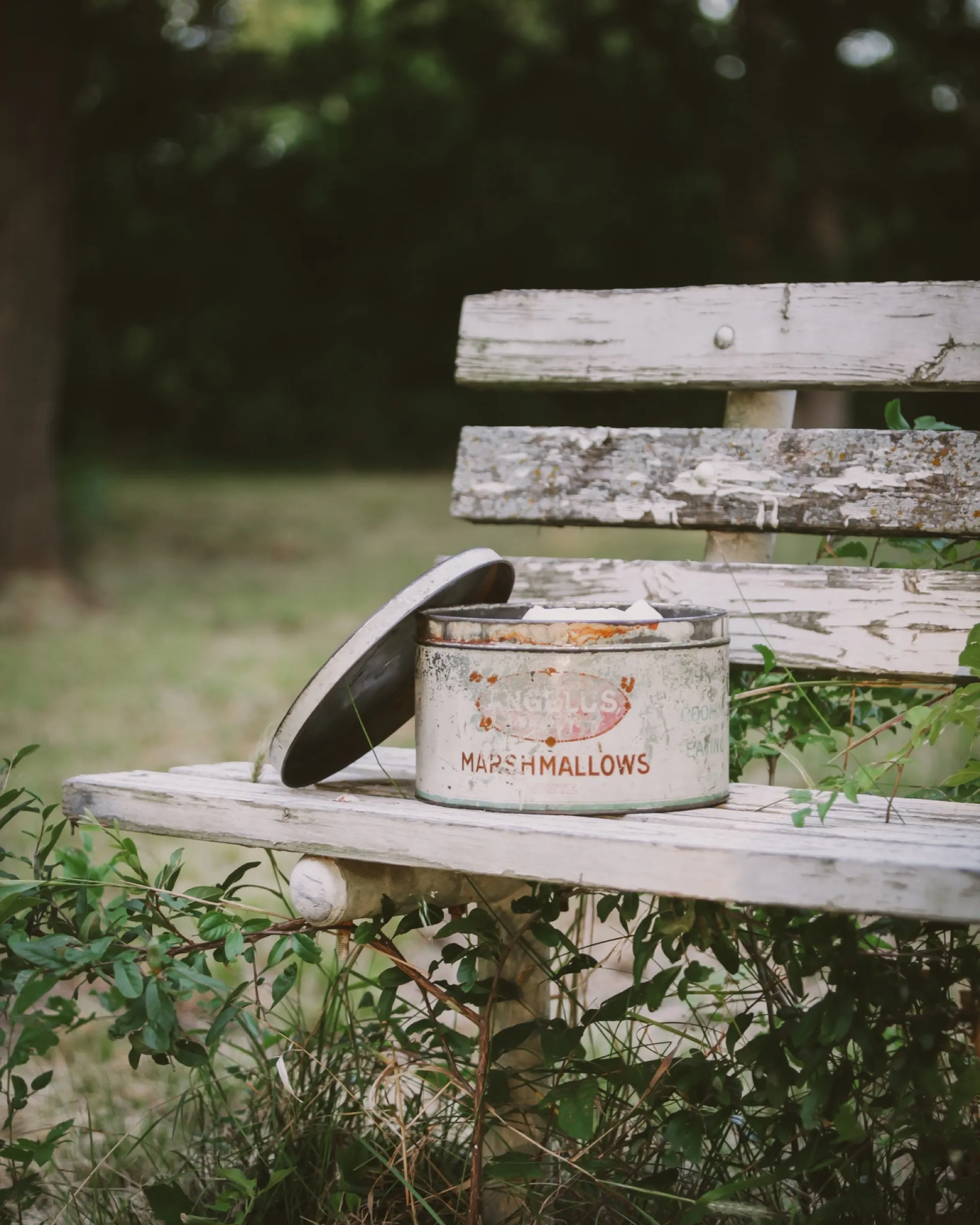 jenni 5 — Jenna Beth Day Photography
