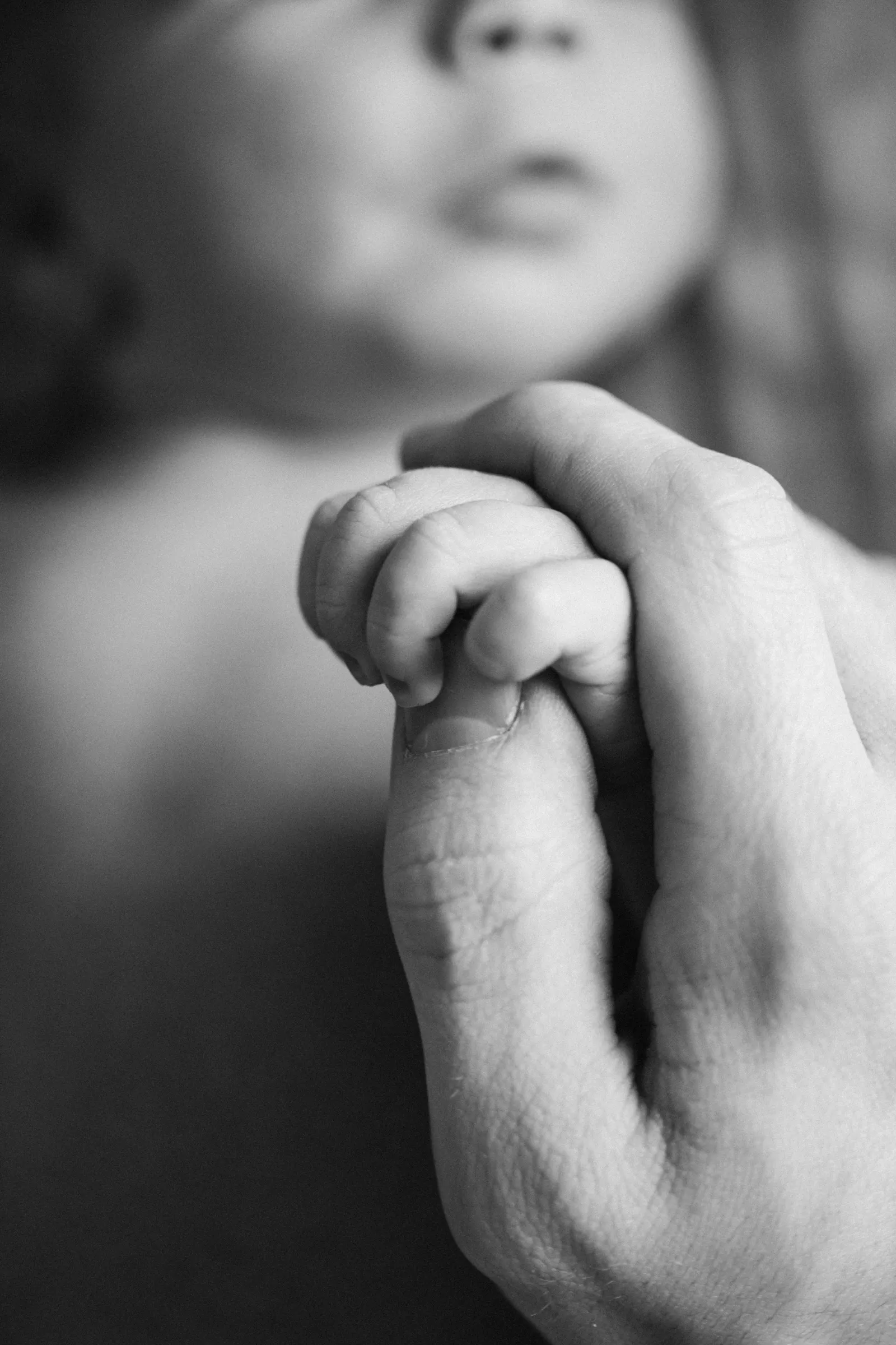 august newborn 124 — Jenna Beth Day Photography
